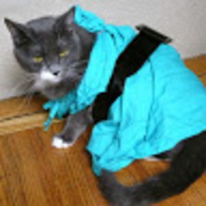 Meet your Posher, Cathy